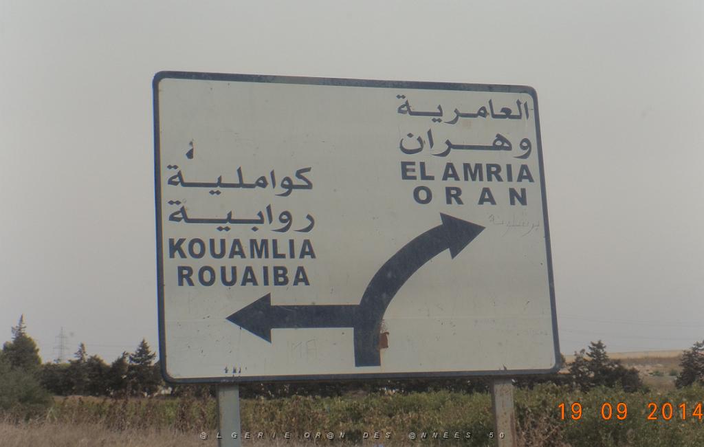 23-Retour vers Oran.JPG -                                
